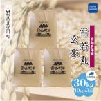 雪若丸 30kg