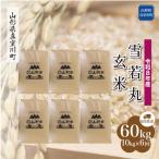 雪若丸 60kg