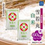 雪若丸 60kg定期便 10kg×6回