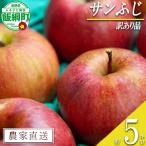 りんご サンふじ 訳あり 5kg
