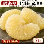 土佐文旦 訳あり 7kg