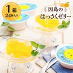 因島のはっさくゼリー 24個入り