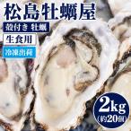 冷凍出荷 殻付き 牡蠣 生食用 2kg
