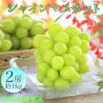 J29 シャインマスカット 秀品 約1kg