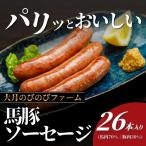 馬豚 バトン ソーセージ 26本
