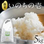 いのちの壱 5kg