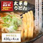 かけうどん 冷凍 天然だし 自家製麺 つゆ付き