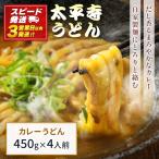 カレーうどん カレー 冷凍 天然だし 自家製麺