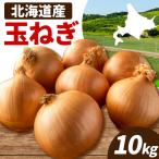 野菜 玉ねぎ 10kg
