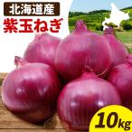 野菜 紫玉ねぎ 10kg