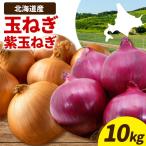 野菜 玉ねぎ 紫玉ねぎ 10kg