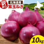 訳あり 野菜 玉ねぎ 10kg