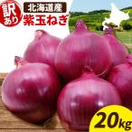 訳あり 野菜 玉ねぎ 20kg