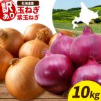 訳あり 野菜 玉ねぎ 紫玉ねぎ 10kg
