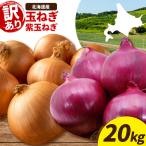 訳あり 野菜 玉ねぎ 紫玉ねぎ 20kg