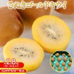 さぬきゴールド キウイ 約 2.8kg
