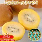 さぬきゴールド キウイ 約 1.2kg