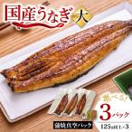 うなぎ蒲焼真空パック 大 125g以上