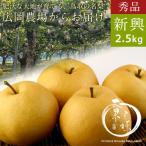 秀品 新興梨 2.5kg前後