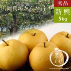 秀品 王秋梨 5kg前後