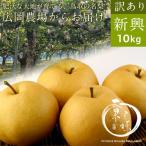 訳あり新興梨 10kg前後