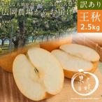 訳あり王秋梨 2.5kg前後