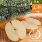 訳あり王秋梨 5kg前後