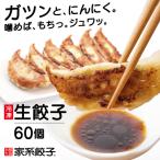 冷凍餃子 60個