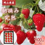 朝摘み 完熟いちご 400g