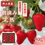 朝摘み 完熟いちご 400g