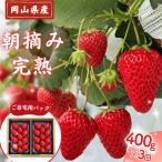 朝摘み 完熟いちご 400g