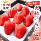 朝摘み 完熟大粒いちご 約450g