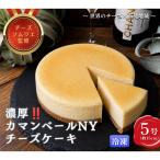 濃厚 カマンベールニューヨークチーズケーキ5号