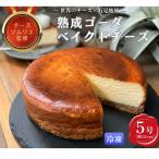 熟成ゴーダベイクドチーズケーキ5号