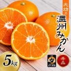 温州みかん 宮川早生 5kg