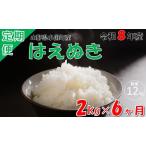 はえぬき2kg 計12kg