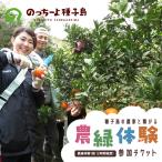 種子島の農家と繋がる 参加チケット
