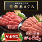 養殖 お刺身 マグロ2種セット 年末発送