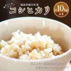藤島さん家のこだわりコシヒカリ 玄米 10kg