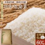 令和8年産 コシヒカリ白米 10kg×6回
