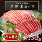 お刺身 マグロ3種セット 年末発送