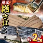 塩鯖 2kg