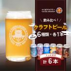 クラフトビール 6本