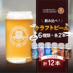 クラフトビール 12本