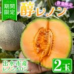 メロン 醇レノン 2玉入り