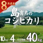 お米 コシヒカリ 10kg×4か月