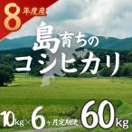 お米 コシヒカリ 10kg×6か月