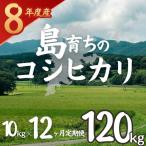 お米 コシヒカリ 10kg×12か月