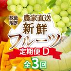 契約農家直送の新鮮フルーツ定期便D フルーツ