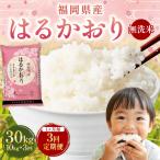 はるかおり 10kg